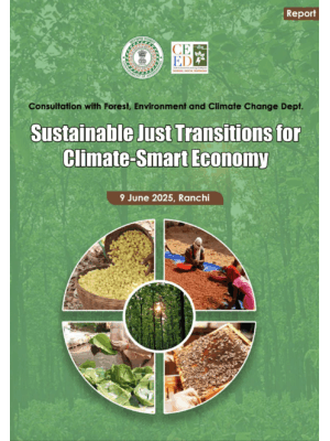Sustainable Just Transitions for Climate-Smart Economy